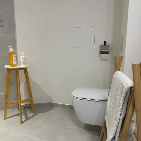 Grand Lumineux - Stella Loft - A Deux Pas Du Lac Leman Appartement Veytaux