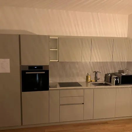 Appartement Grand Lumineux - Stella Loft - à Deux Pas Du Léman