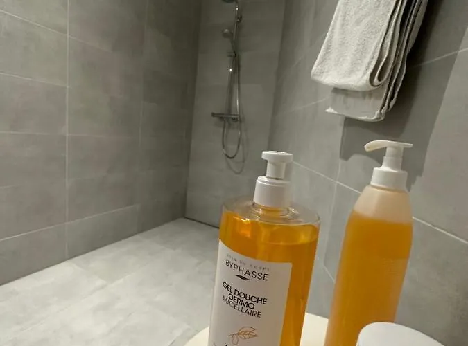 Grand Lumineux - Stella Loft - A Deux Pas Du Leman * Veytaux