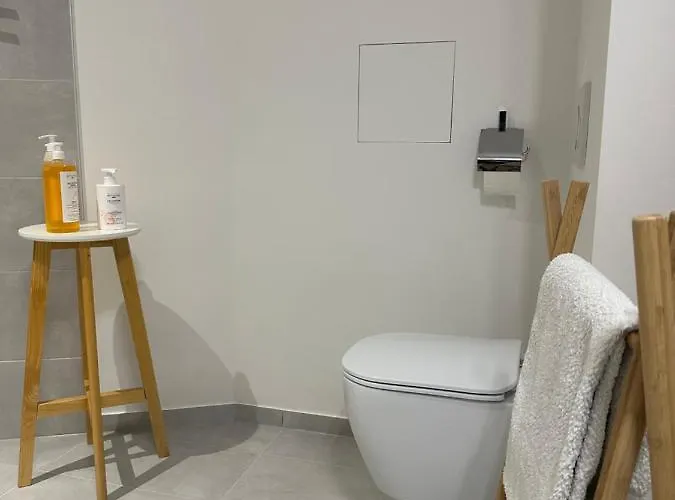 Grand Lumineux - Stella Loft - A Deux Pas Du Leman Apartment Veytaux