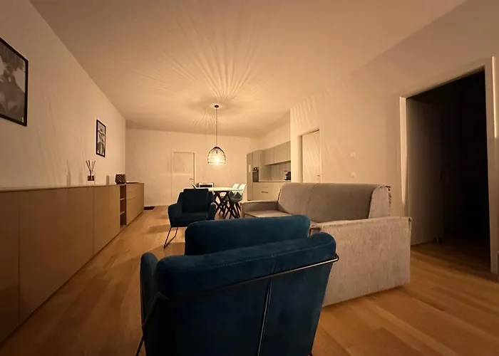 Grand Lumineux - Stella Loft - A Deux Pas Du Leman Apartment *